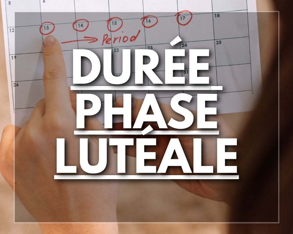 Durée phase lutéale : Tout Savoir sur la Phase Lutéale - Flowless